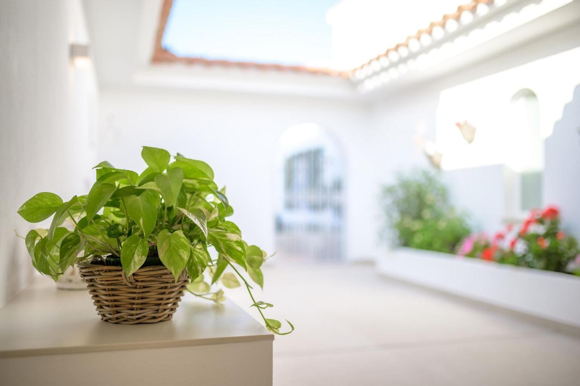 Villa Ponti A5 Direkt Am Meer Santo Tomás Exterior foto